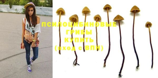 apvp Пересвет